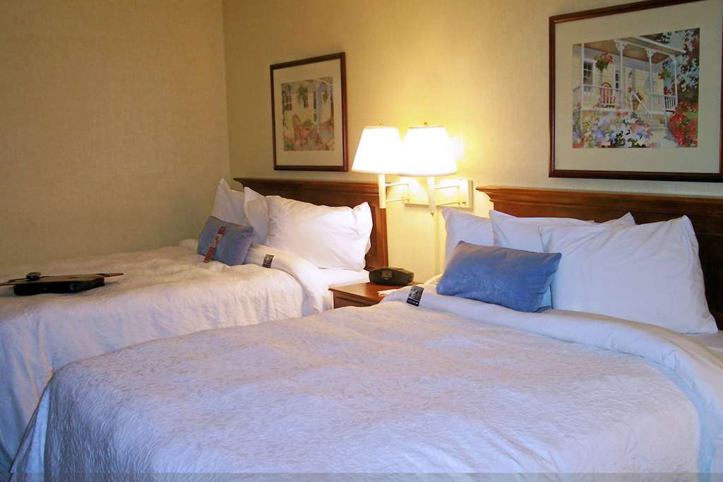 Hampton Inn Salem East - Electric Road Pokój zdjęcie